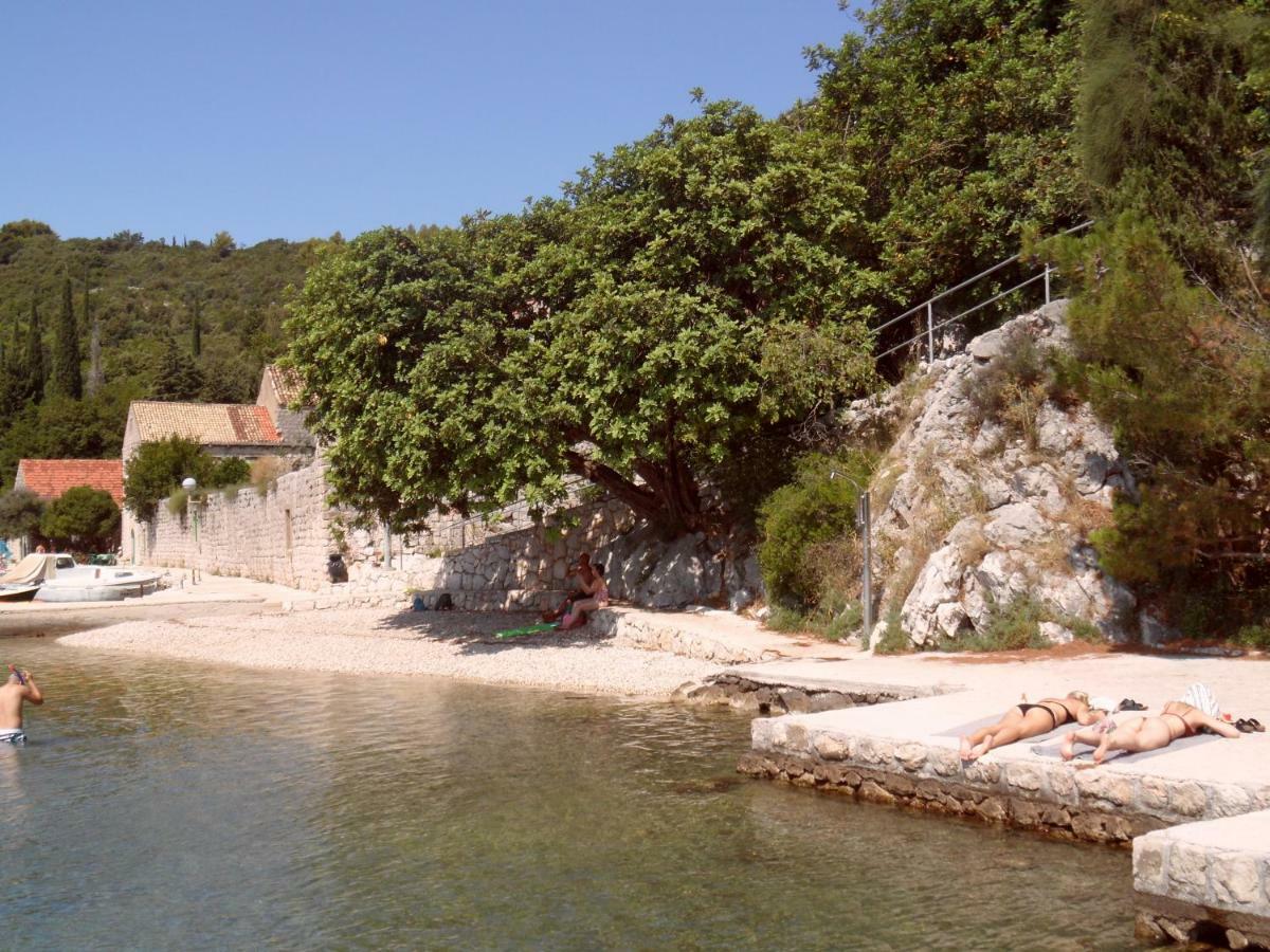 Vesna - Your Best Choice - 80 M From Beach Zaton  Exterior foto